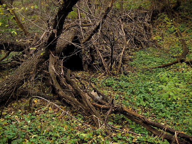 A Home Near The River