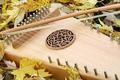 Psaltry Music in Autumn
