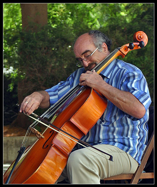 Street Musician