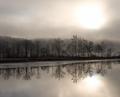 The Amazing Silence