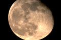 Yellow Moon