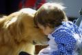 Animal communicator