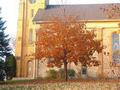 Fall Church