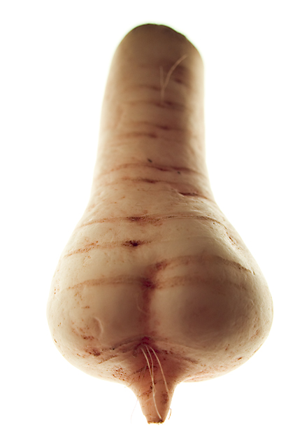 Phallic Radish