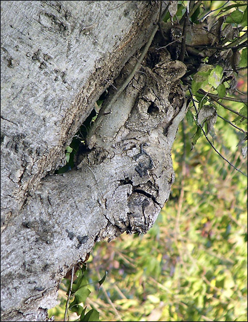 Are you watching nature or is nature watching you?