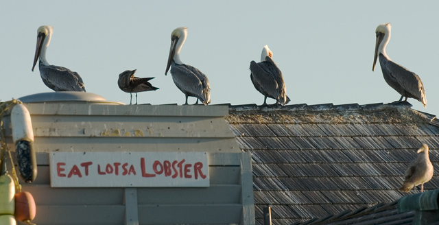 Waiting on line for dinner ...