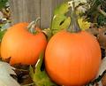 November