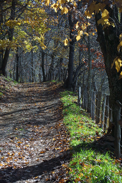 November - Sugar Loaf Rd.