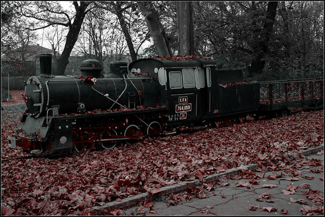 November Train