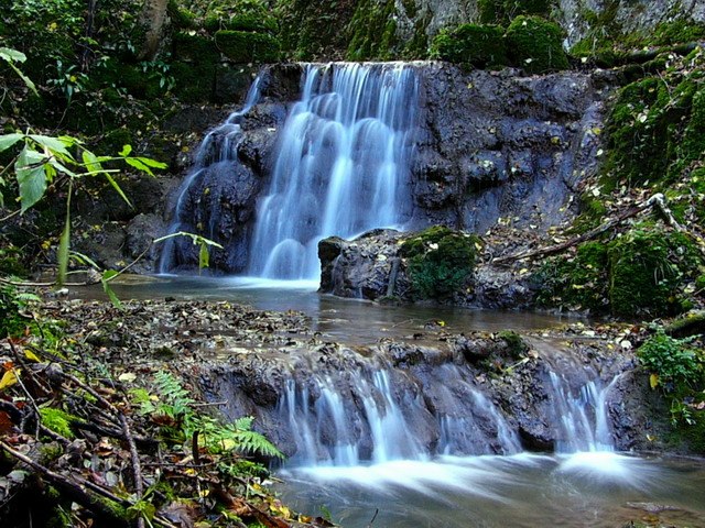 october (serene scenes: natural water)