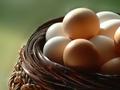 Fresh Eggs