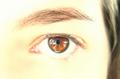 Look