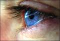 Photography is about - always watching but rarely seeing