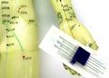 Acupuncturist's Practice Doll