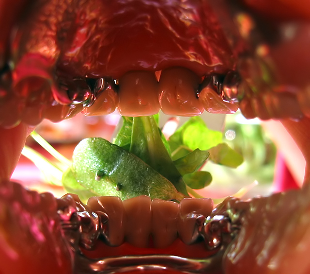 salad