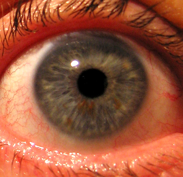 Self -Portrait of an eye