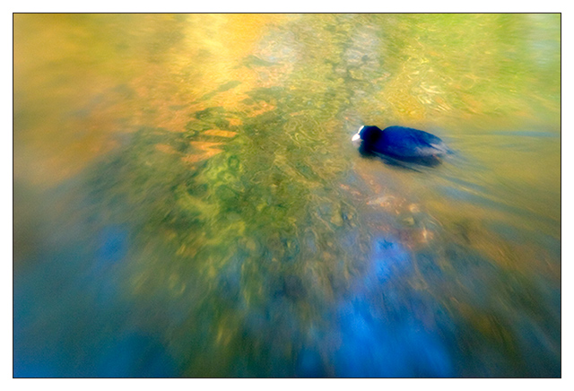 Autumn Drift