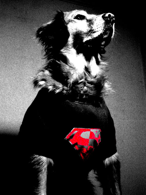Super Dog