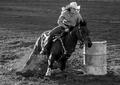 A Day At The Rodeo