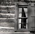 Old Panes