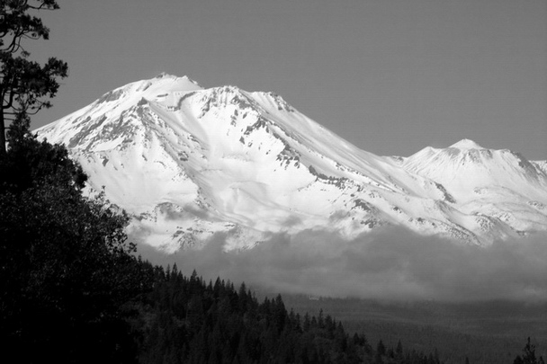 Shasta Mountain