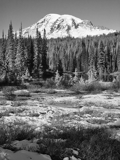 Mt. Rainier