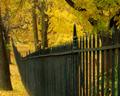 Fall Fence