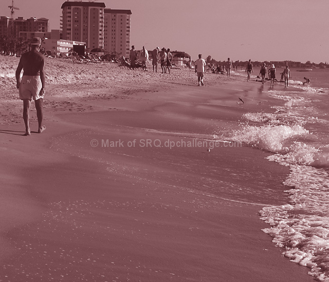 Beach Erosion