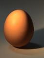 Egg