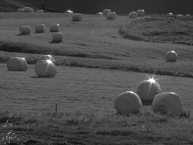 New bales of hay