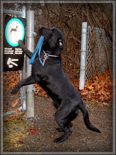 Checking the Rules before using the Trails