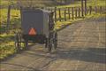 Amish Buggy
