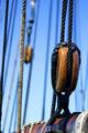 Technology In The Rigging