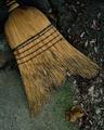 Old Broom by the Shed