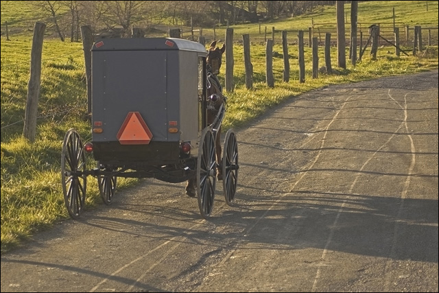 Amish Buggy