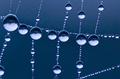 7 largest droplets hanging by a thread.........