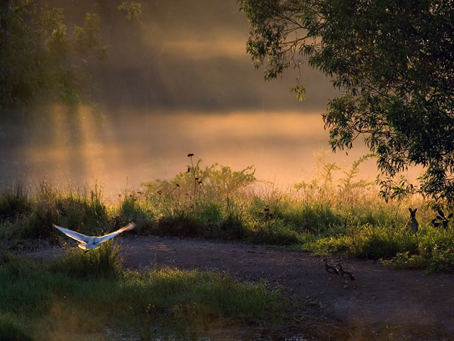 Seven Rays of Light