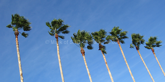 Breezy Day
