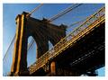Beloved Brooklyn Bridge