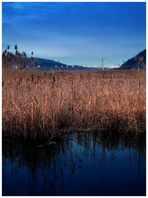 Bear Mountain Bridge