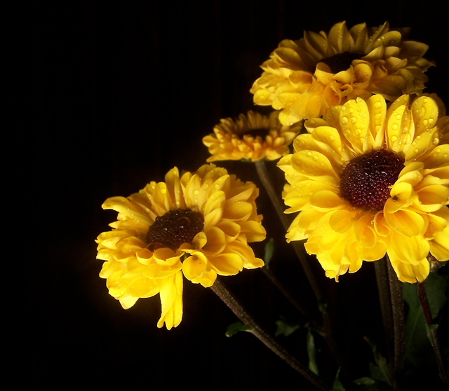 Just Yellow