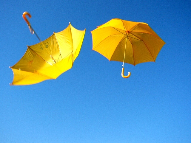 Raining umbrellas