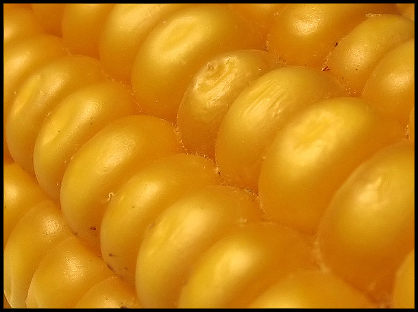 Golden Corn