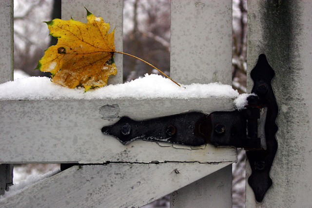 Fenced