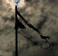 Fly the Flag