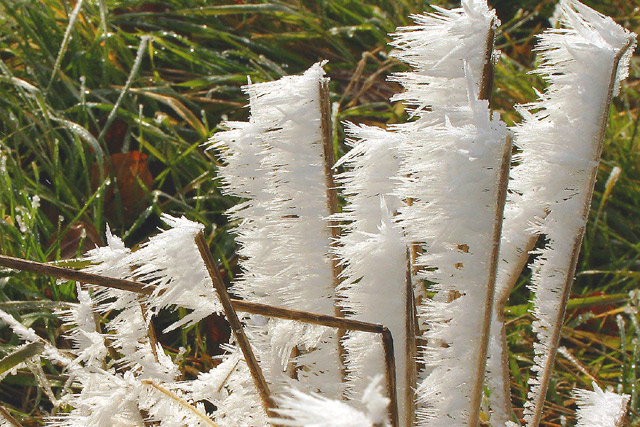 Icey wind