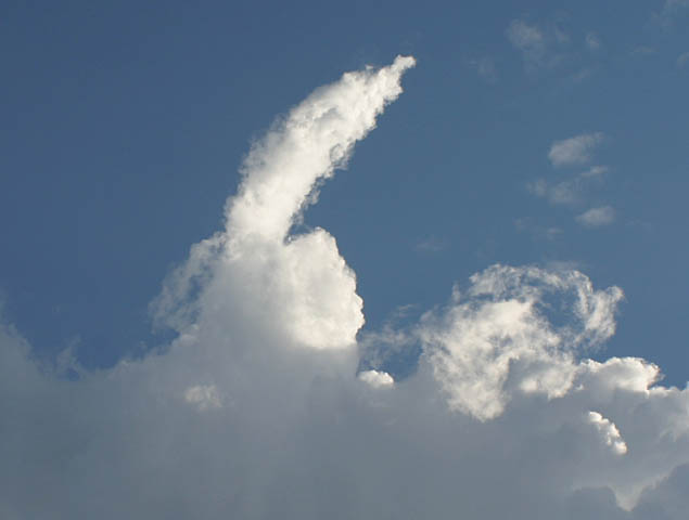 Thumb Up to the Wind