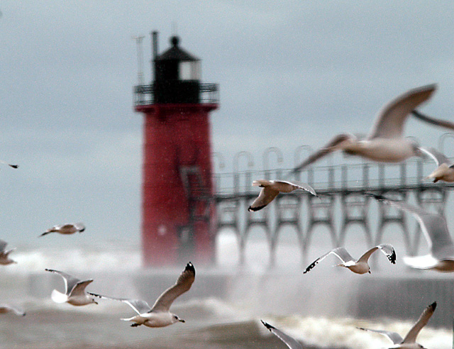 Wind... Waves... Wings...