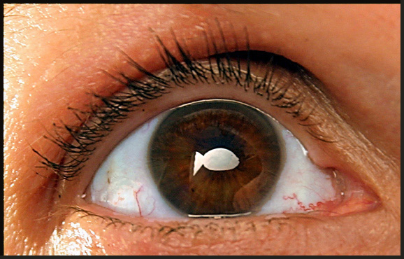 Dory Eyed (tribute to casualguy)
