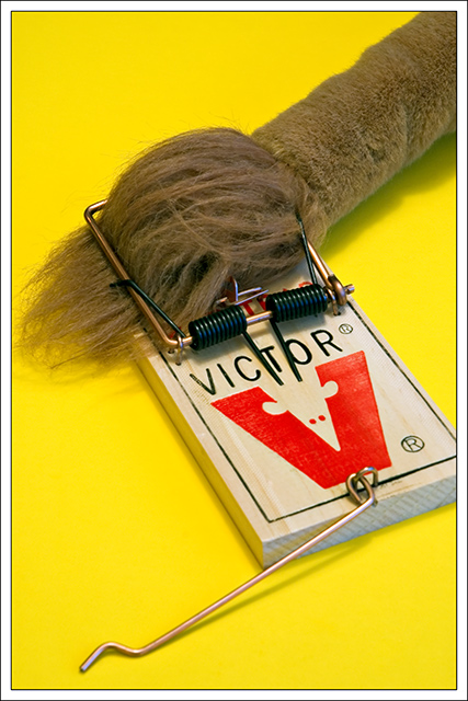 Newsflash: Blue Ribbon Burgler Caught Red Handed! (Humor II - Red and Blue)